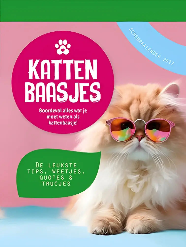 Een fluffy oranje tabby kat met stijlvolle roze zonnebril met regenboogglazen in scheurkalender 2027 leukste tips