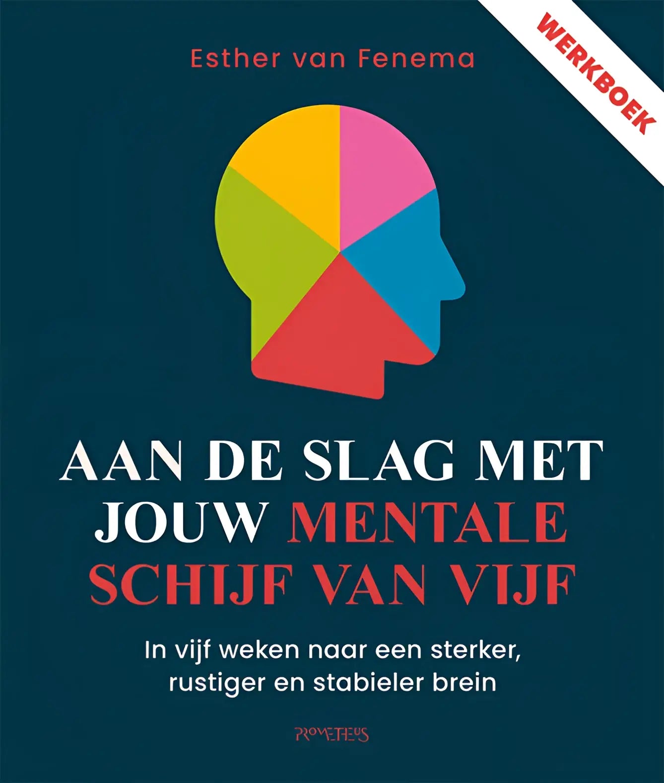 De boekcover toont een kleurrijke gesegmenteerde hoofd silhouet voor het product aan de slag met jouw mentale schijf van vijf voor een stabieler brein