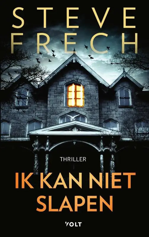 Het boek Ik kan niet slapen toont een donkere gotische stenen huis met verlicht raam en vliegende vogels