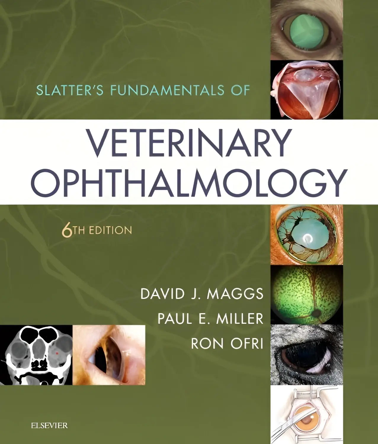 De cover van slatters fundamentals of veterinary ophthalmology 6e editie geselecteerd voor doody’s core lijst