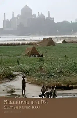 Boekomslag van subalterns and raj toont een mistig landelijk landschap met de taj mahal vaag zichtbaar op de achtergrond