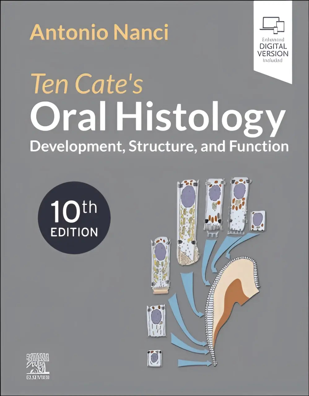 Gray hardcover textbook ten cate’s oral histology development structure and function 10th edition by antonio nanci