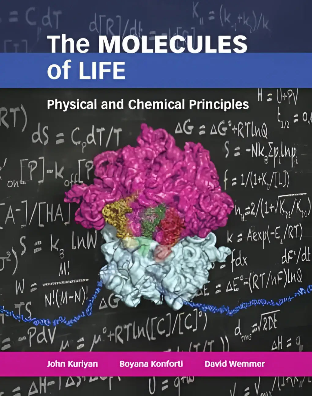 De boekenomslag van the molecules of life toont een kleurrijk moleculair model in roze en wit tegen life sciences formules
