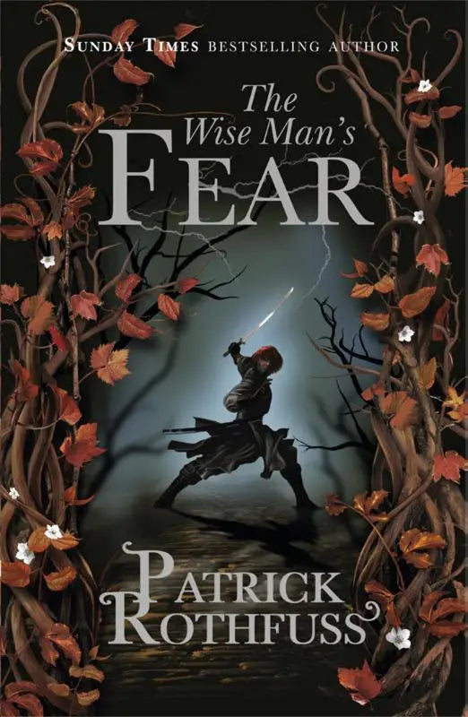 Harde kaft editie van the wise mans fear uit the kingkiller chronicle met een donkere fantasieillustratie van een gewapend figuur