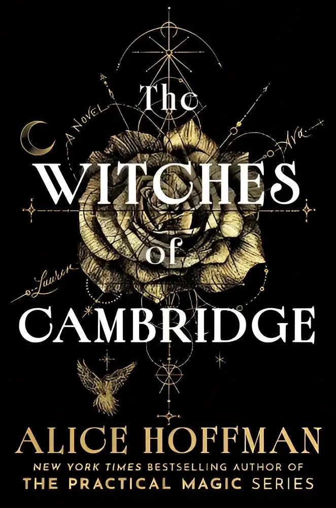 De cover van the witches of cambridge toont een gedetailleerde gouden roos op een zwarte achtergrond van de nieuwe magical series from practical magic auteur