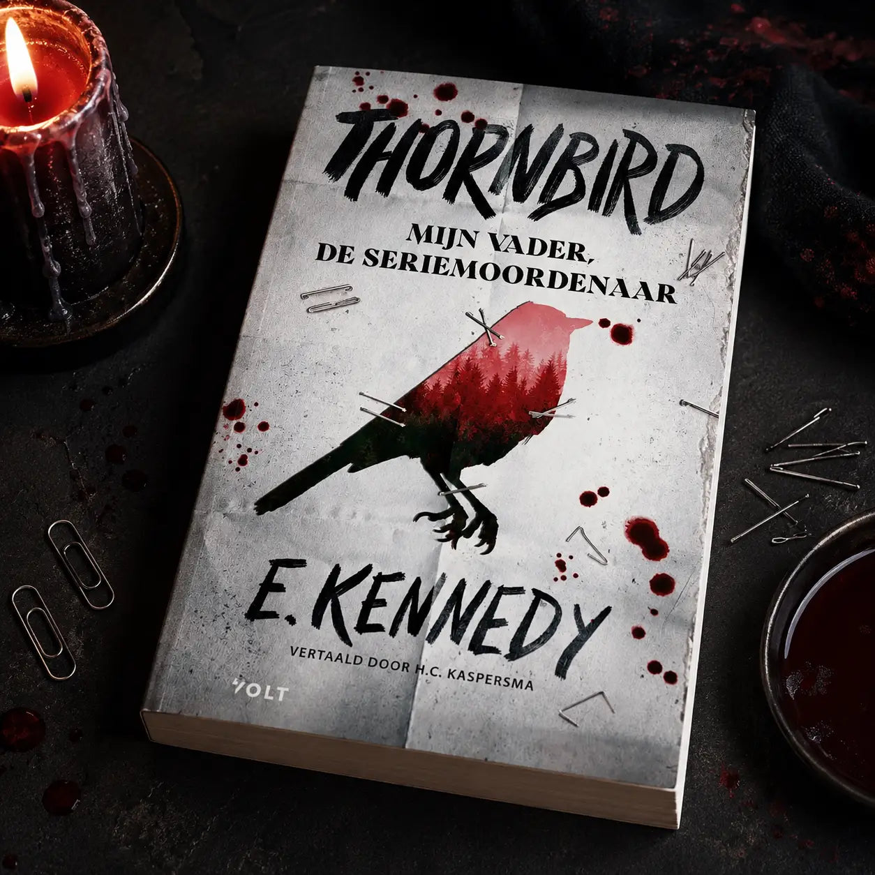 A paperback young adult book thornbird by holly jackson with a textured cover showing a black bird silhouette and red forest design
