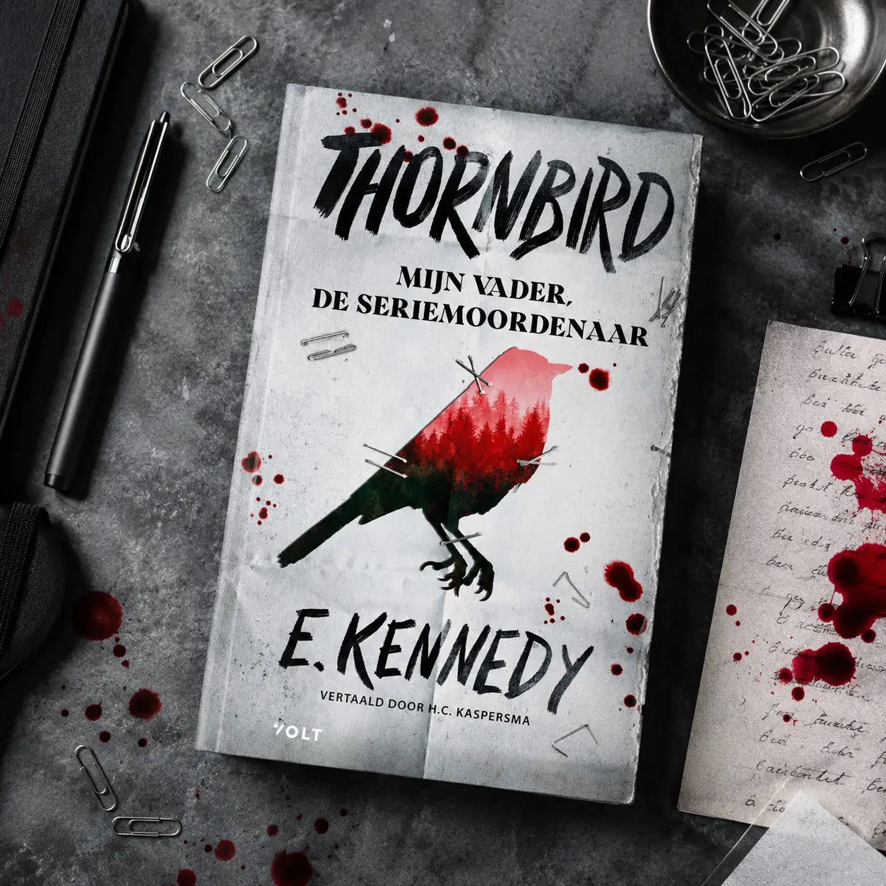 A paperback young adult book thornbird by holly jackson with a white cover showing a black and red bird pierced by paperclips