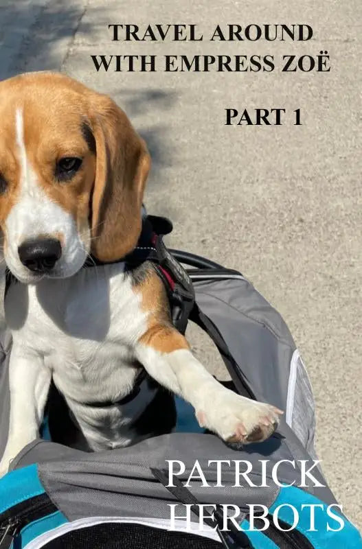 Een beagle puppy met tan en witte vacht zit comfortabel in een grijsblauwe reisrugzak travel around with empress zoë part 1