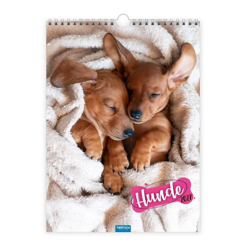 TRÖTSCH - Classickalender Hunde 2027 - Wandkalender