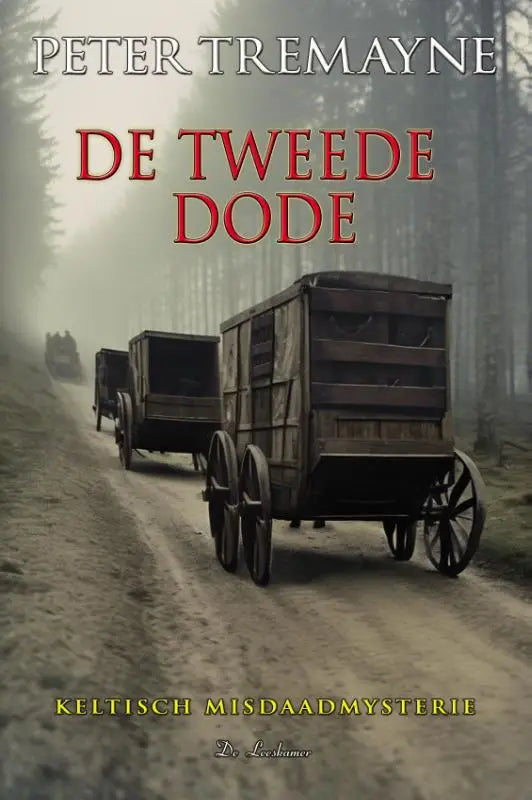 De tweede dode - Keltisch misdaadmysterie