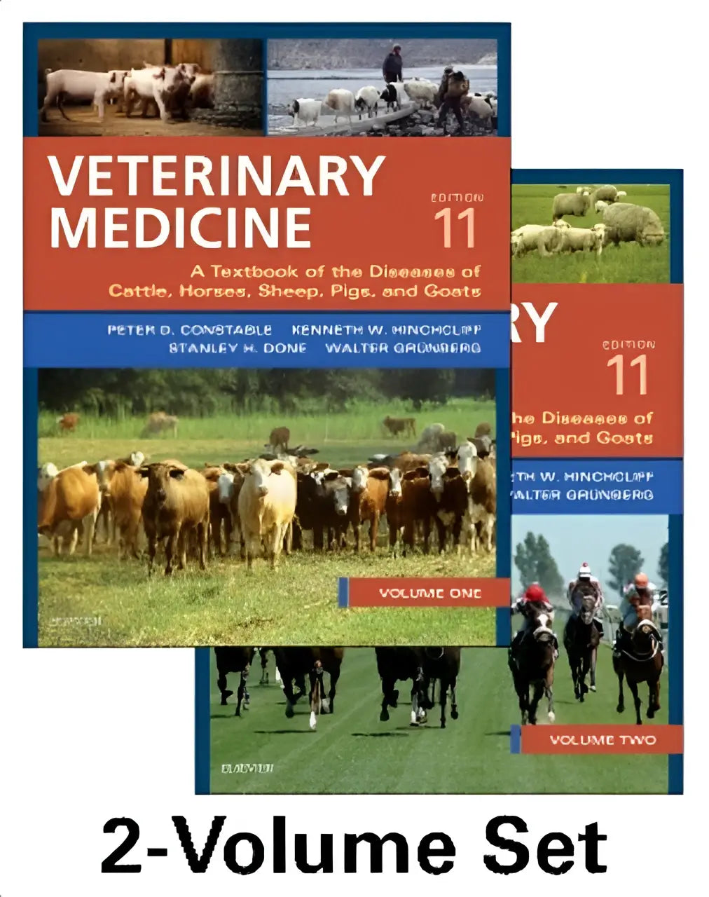 De 2-delige set van veterinary medicine edition 11 behandelt the diseases van varkens en geiten uitgebreid