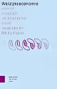 Minimalistisch ontwerp van boek welzijnseconomie met weltwirtschaft in dik zwart lettertype door nicky pouw amsterdam university press
