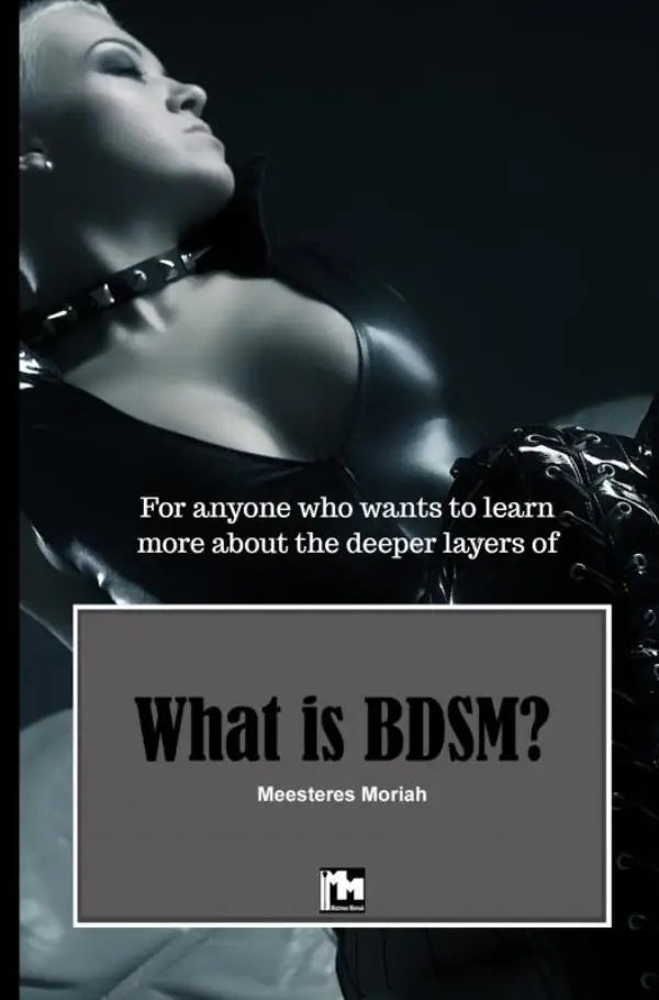 Zwart leren choker met zilverkleurige metalen sluiting voor iedereen die de diepere lagen van bdsm wil leren kennen