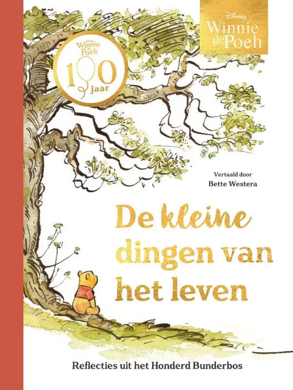 Winnie de Poeh. De kleine dingen van het leven - Reflecties uit het Honderd Bunderbos