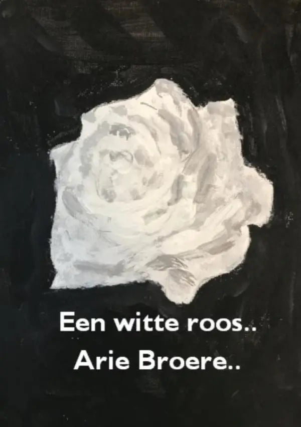 Een witte roos met zachte gelaagde bloembladen tegen een donkere achtergrond, perfect voor decoratie