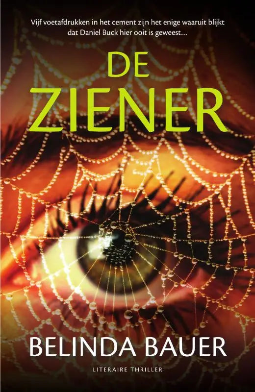 De ziener boekomslag met een close-up van een oog met goudgele iris en spinnenwebben op een warme achtergrond