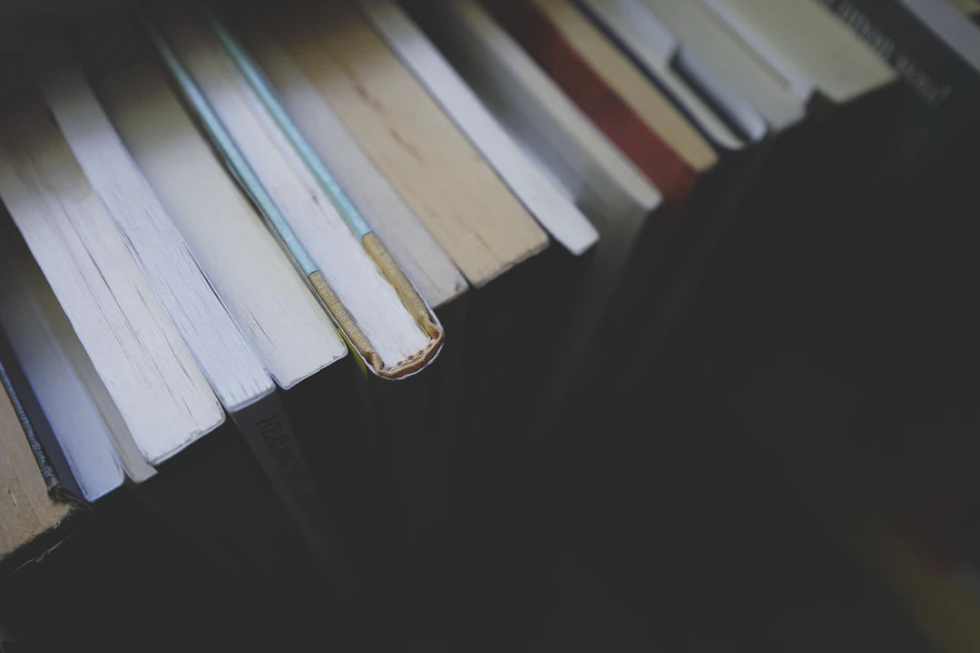 Top 5 studieboeken voor taalprofessionals