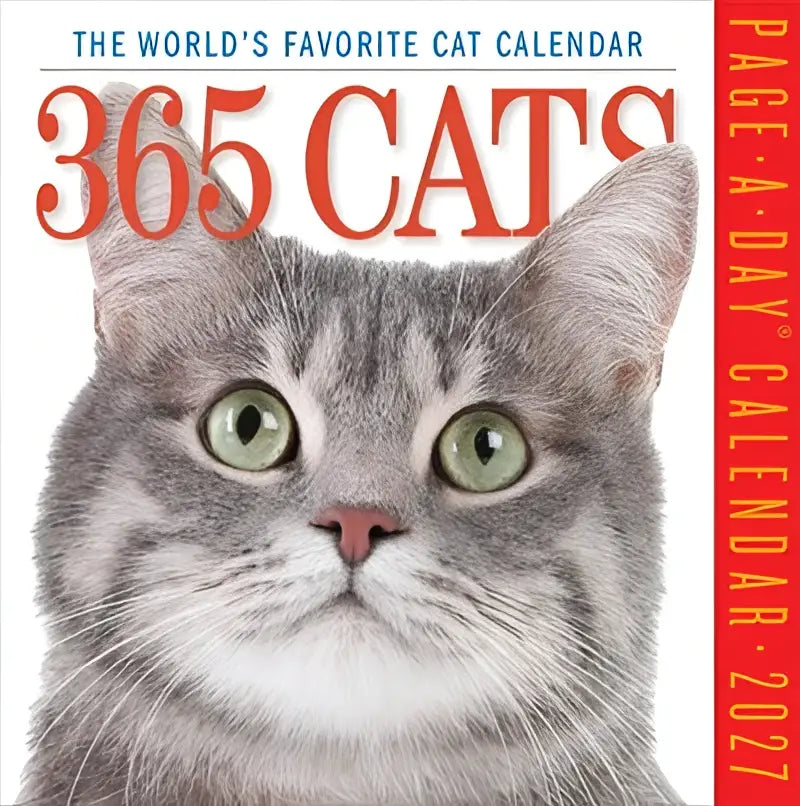 Gray tabby kat met groene ogen en roze neus op de cover van 365 cats page-a-day cat calendar 2027 favorite cat calendar