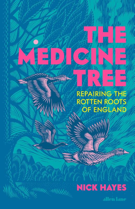 The Medicine Tree – Nick Hayes – Hardcover – ISBN 9780241731321