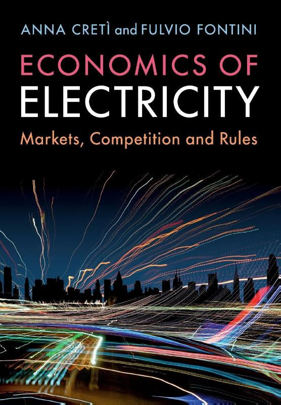 Economics of Electricity: Markets, Competition and Rules