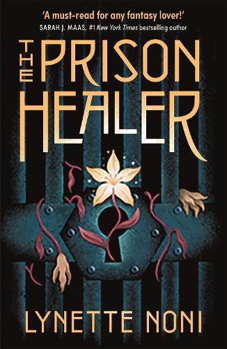 The Prison Healer - DISCOVER the epic, slow-burn fantasy in a GLOBALLY BESTSELLING series