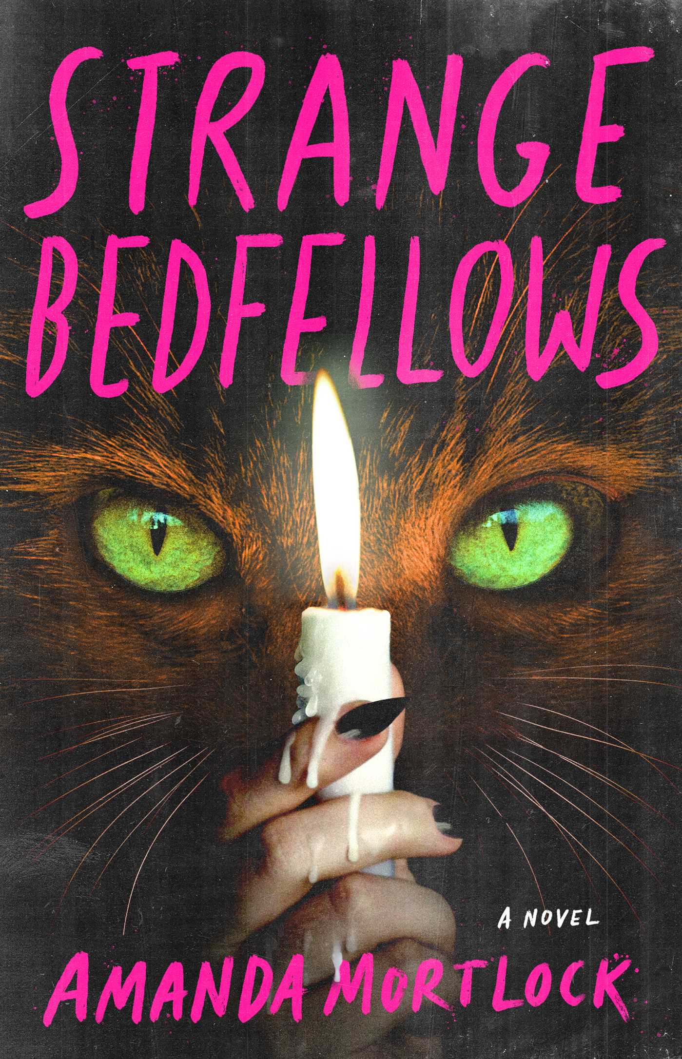 Strange Bedfellows - A Novel