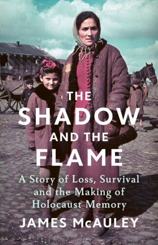 The Shadow and the Flame – Paperback – ISBN 9781847927392