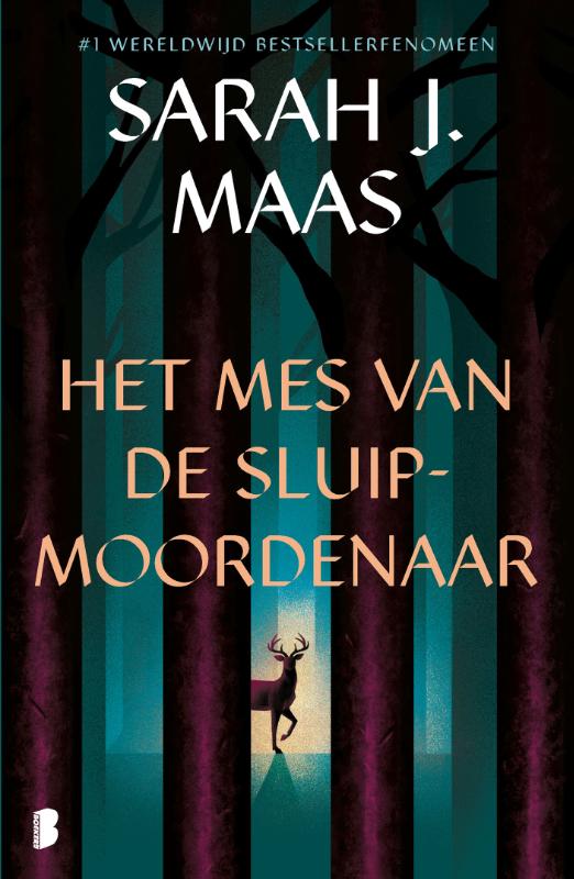 Boekomslag Het mes van de sluipmoordenaar van Sarah J. Maas – ISBN 9789049206345
