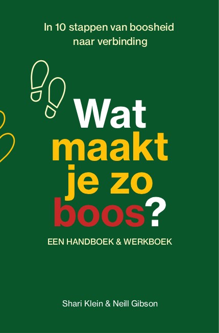 Wat maakt je zo boos? - In 10 stappen van boosheid naar verbinding