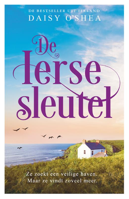 De Ierse sleutel - Ze zoekt een veilige haven. Maar ze vindt zoveel meer