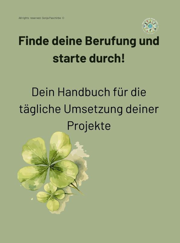 Finde deine Berufung und starte durch! - Dein Handbuch für die tägliche Umsetzung deiner Projekte