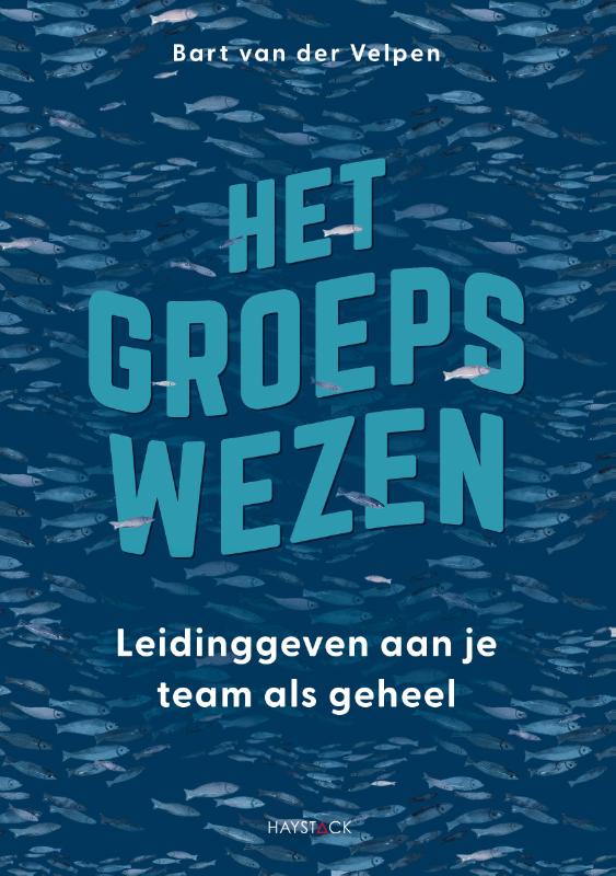 Het groepswezen - Leidinggeven aan je team als geheel