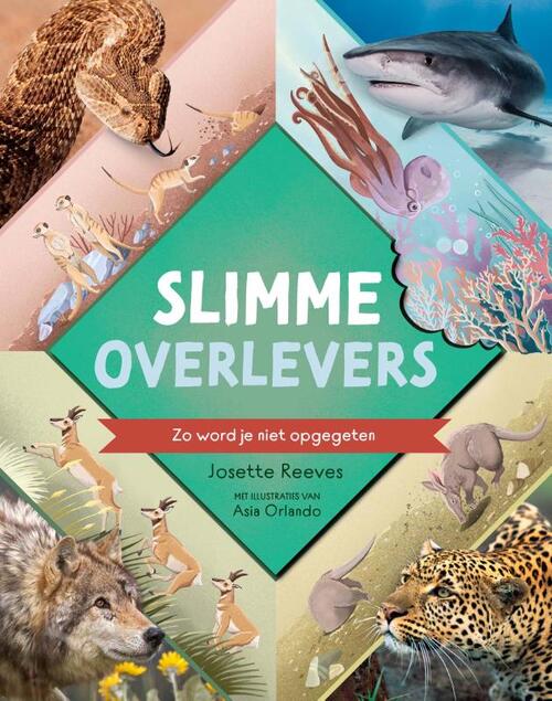 Boekomslag voorkant 9789464398564