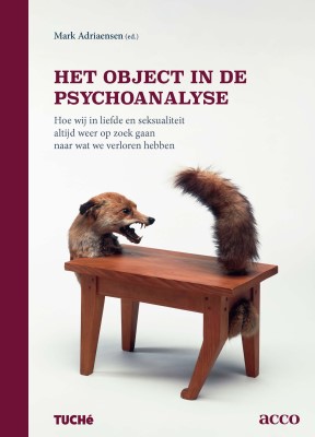 Het object in de psychoanalyse - Hoe wij in liefde en seksualiteit altijd weer op zoek gaan naar wat we verloren hebben