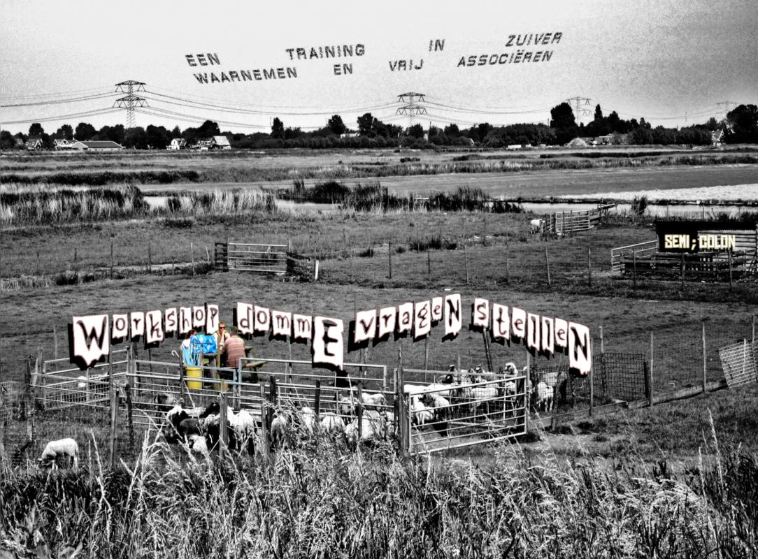 WorkshoP dommE vrageN stelleN - Een training in zuiver waarnemen en vrij associëren
