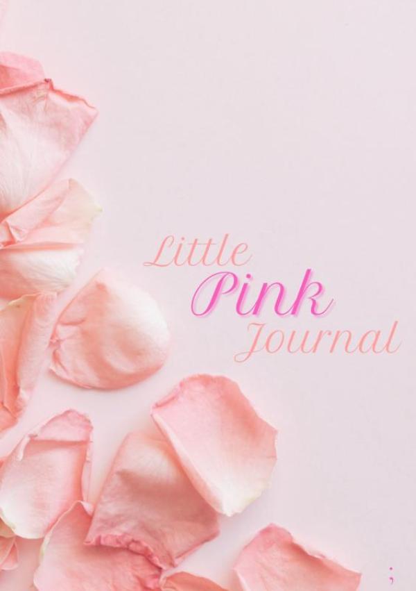 Little Pink Journal - L - 100/50