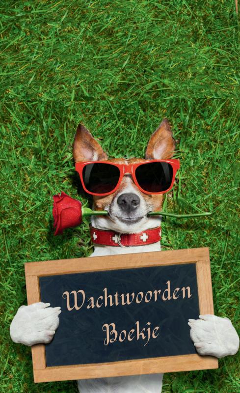 Wachtwoordenboekje met alfabet – Password Organizer - Wachtwoorden notitieboek: Wachtwoordenboekje - Wachtwoorden boekje - Wachtwoorden logboek