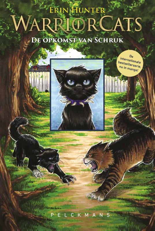 De opkomst van Schruk