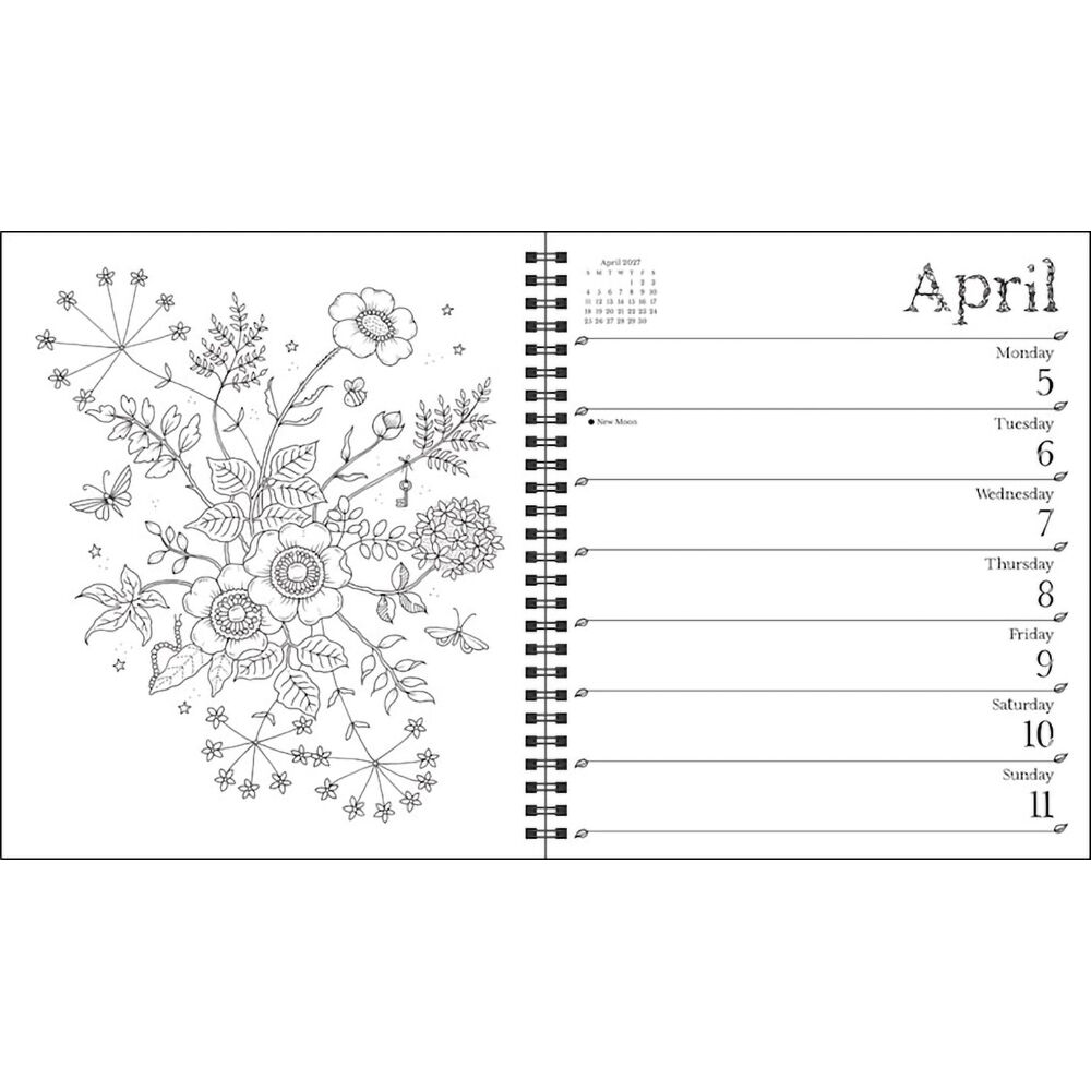 Johanna Basford - 2027 Weekly Coloring Calendar