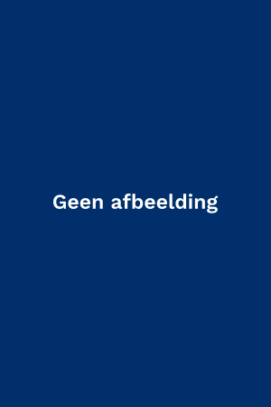 Aftellen naar Kerstmis - Puzzelboek