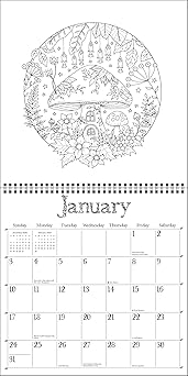 Wonderful Wildflowers - 2027 Coloring Wall Calendar - Johanna Basford