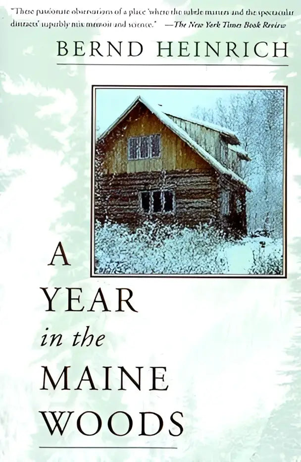 De boekcover van a year in the maine woods toont een rustieke houten hut met een met sneeuw bedekt dak in een winters bos