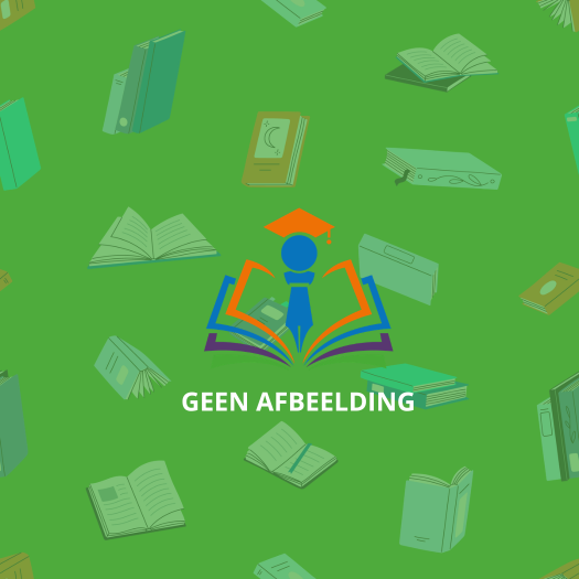 Een killer Kerst puzzelboek - Mr. Brein
