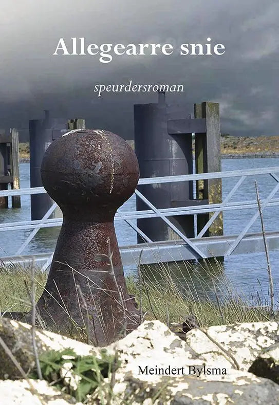 Allegearre snie - speurdersroman