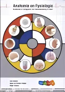 Anatomie en fysiologie circulair diagram met kleurrijke secties en centrale gele cirkel voor socio-medische wetenschappen