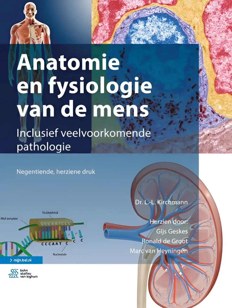 De cover van anatomie en fysiologie van de mens toont gedetailleerde anatomische illustraties door gijs geskes bsl media