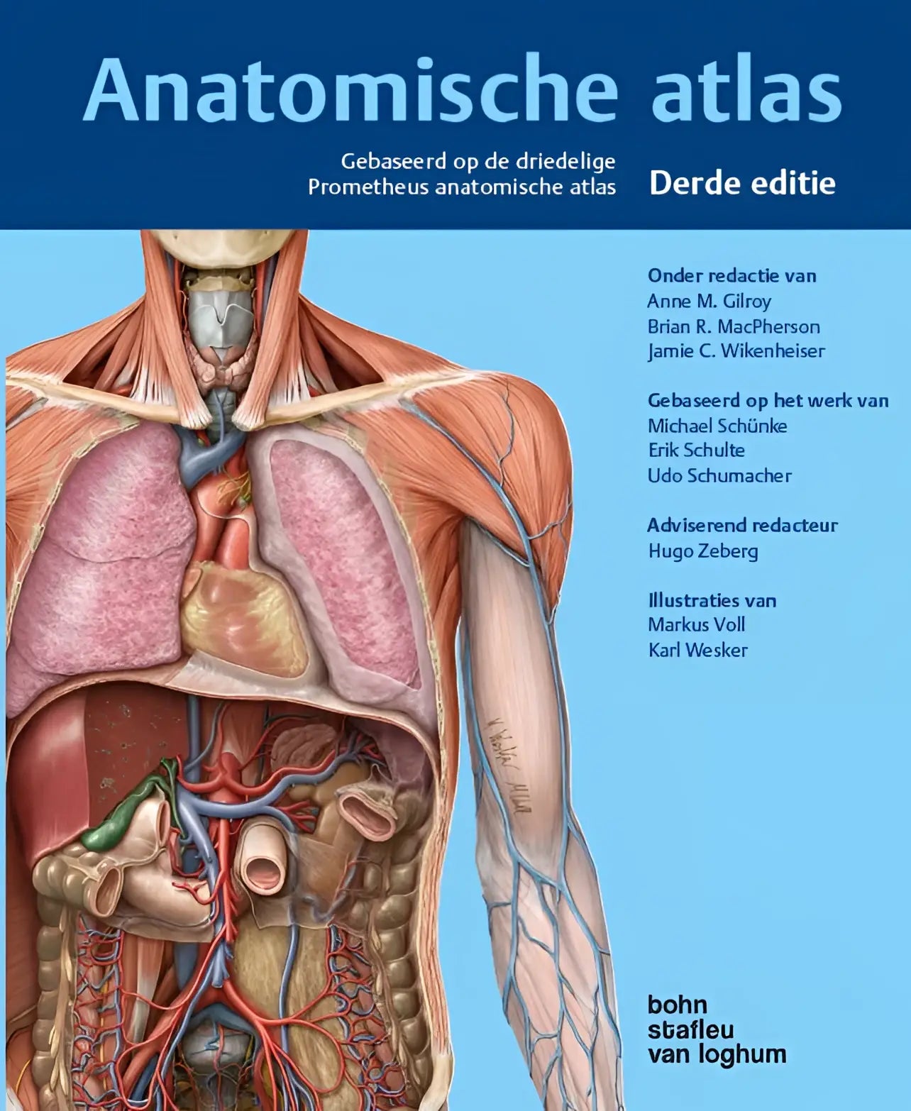 Anatomische atlas omslag met gedetailleerde illustratie van menselijke torso en organen in realistische kleuren door bsl media