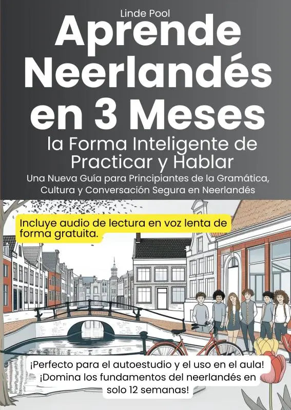 De boekcover toont aprende neerlandés en 3 meses in witte letters op donkergrijze achtergrond met kanaalstraat en leesaudio lenta gratis