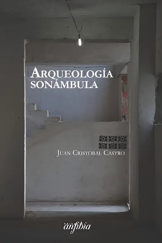 De boekcover van arqueología sonámbula door juan cristobal castro, uitgegeven door anfibio weergegeven