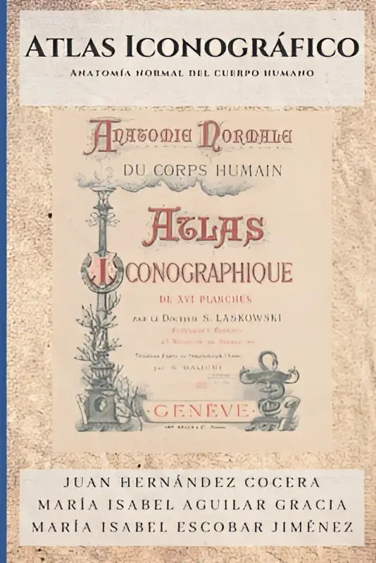 Anatomische atlas atlas iconográfico met gouden en zwarte tekst op beige oud papier over de anatomie del cuerpo humano
